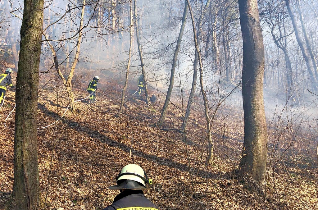 Im März war die Freiwillige Feuerwehr Wippra bei einem Waldbrand bei Rammelburg im Einsatz.
