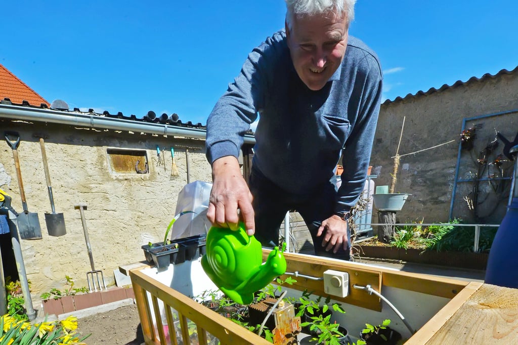 Roland Funke gießt die jungen Tomaten im Babybett-Gewächshaus.