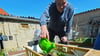 Roland Funke gießt die jungen Tomaten im Babybett-Gewächshaus.