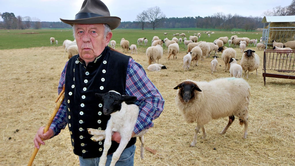 Schäfermeister Karl-Heinz Eggert aus Bebertal mit einem zwei Tage alten Osterlamm im Arm.