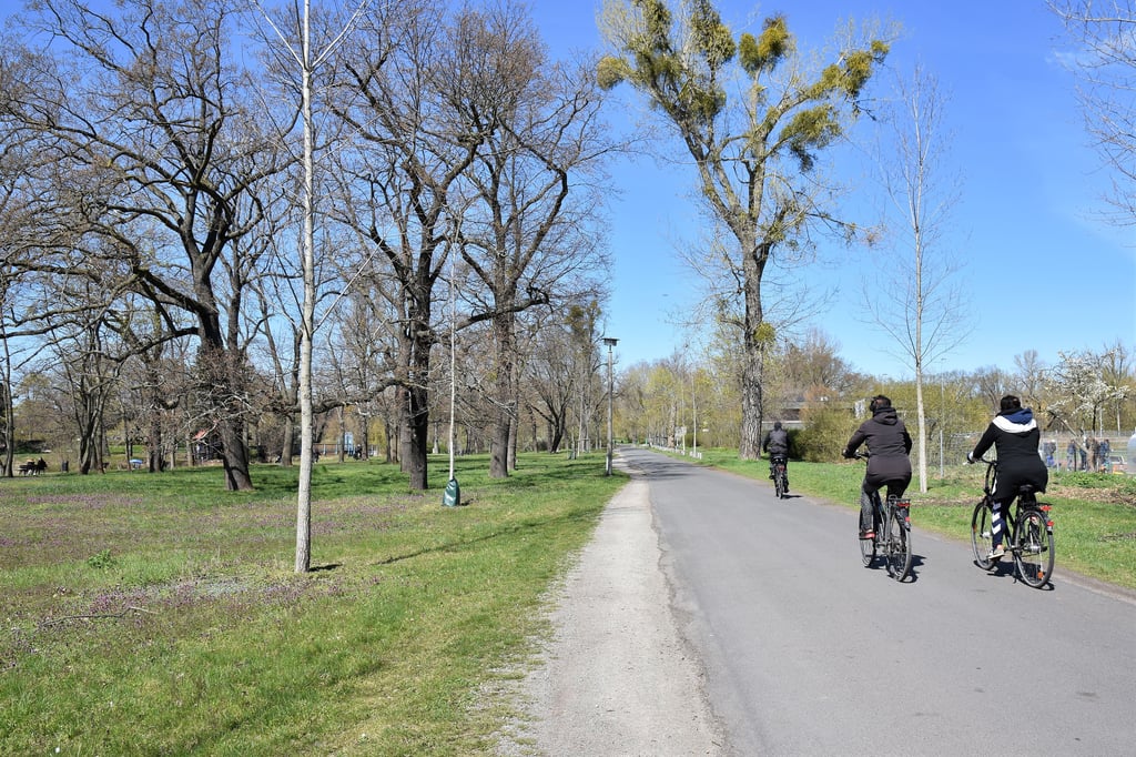 Radfahrer auf dem Seilerweg im Stadtpark Rotehorn in Magdeburg.