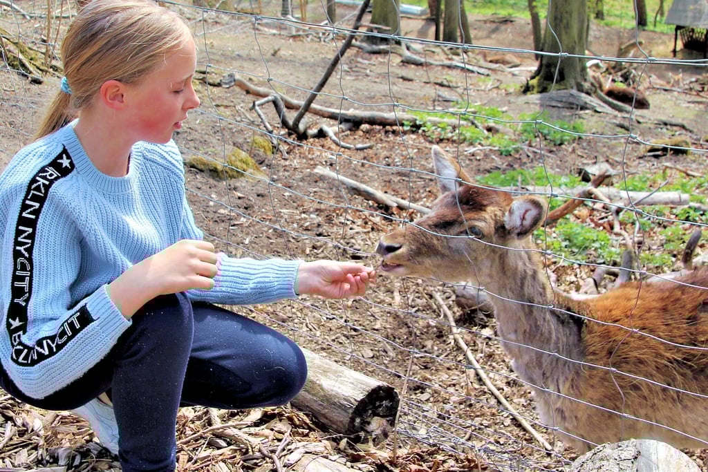 Lisa-Marie verbrachte viel Zeit am Gehege mit dem Dammwild und fütterte die Rehe.