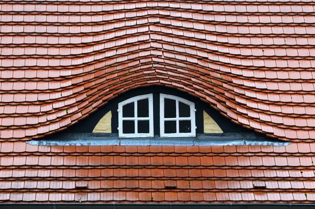 Ein mit Ziegeln gedecktes Hausdach in Bad Wilsnack mit einer sogenannten Fledermausgaube.