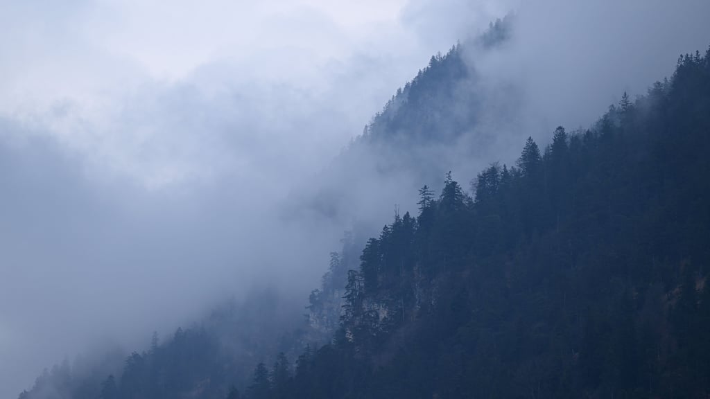 Die Wanderer, die am Wochenende in den Alpen verunglückten, waren Lehrer am Burggymnasium Wettin.
