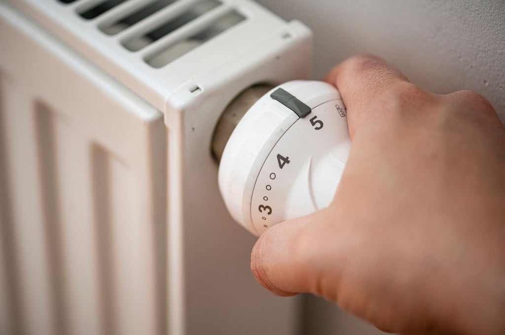 Zur Entlastung der Bürger hat die Bundesregierung eine Energiepreispauschale in Höhe von 300 Euro beschlossen - aber nicht für alle.
