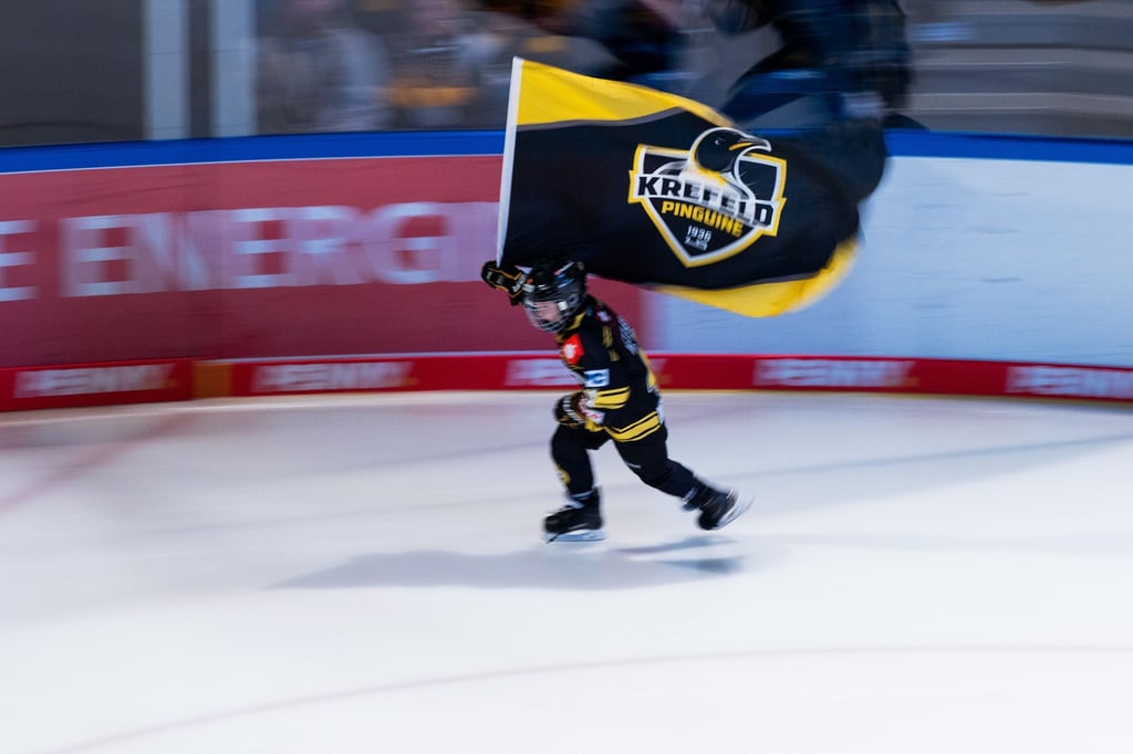 Die Krefeld Pinguine wollen vor das DEL-Schiedsgericht ziehen.