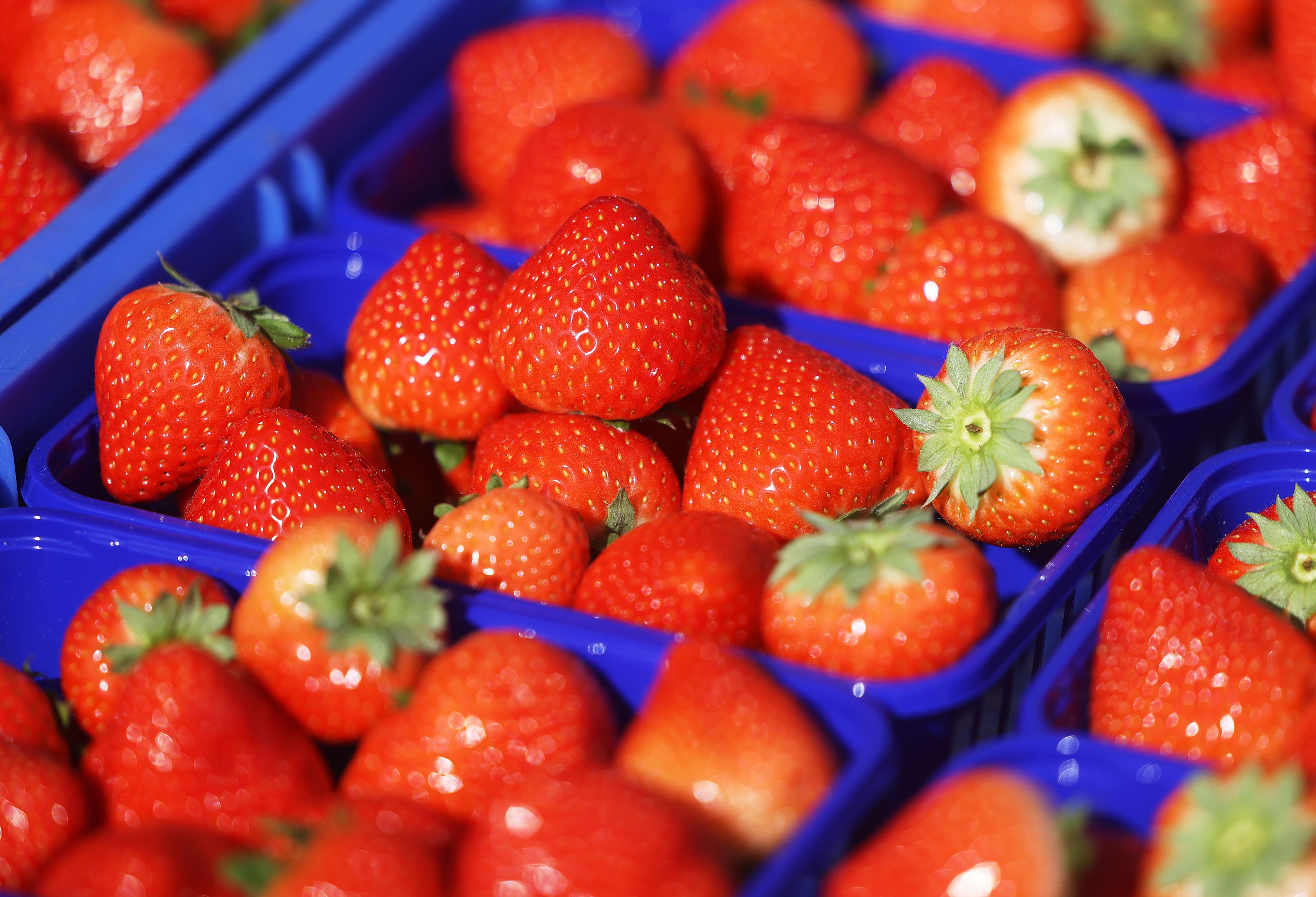 Fiese #strawberrybugs-Videos: Müssen Erdbeeren ab jetzt ins Salzwasser?