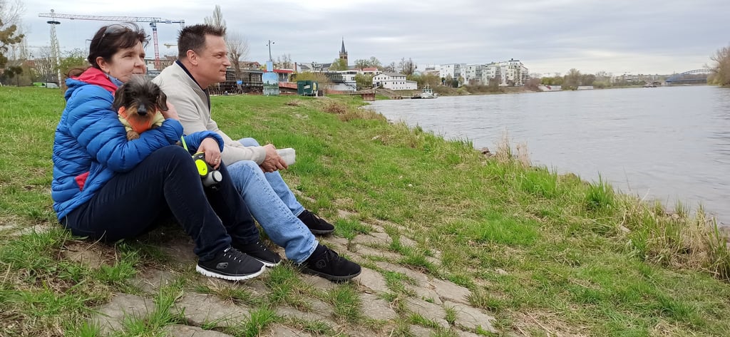 Spaziergänger blicken auf die Elbe im Bereich Buckau. Aus dem Stadtrat gibt es einen Vorstoß für einen Familienbadetag an der Elbe.