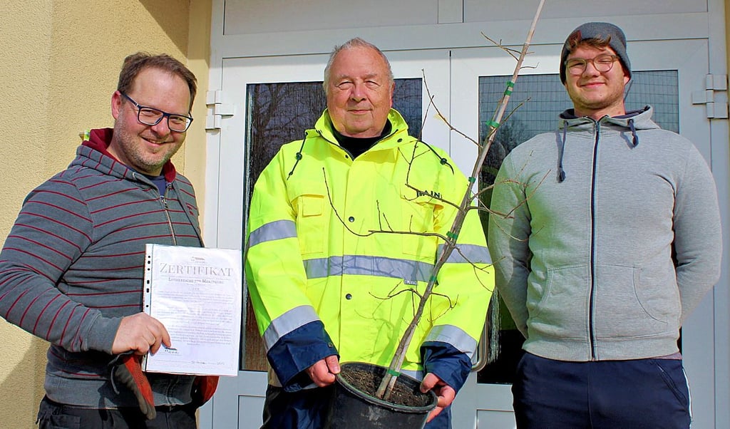 Rainer Urban (M.) brachte die Luthereiche samt der Urkunde zu Michael Aermes und Yannik Kugler (r.) nach Zscherndorf.
