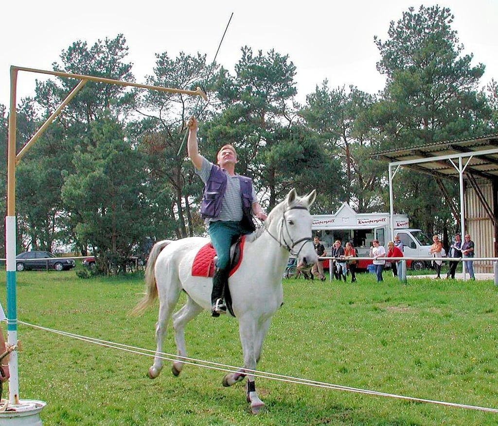 Im Zuge des Festjahres zum 1030. Dorfgeburtstag lädt der Samsweger Reit- und Fahrverein zum traditionellen Ringreiten ein.