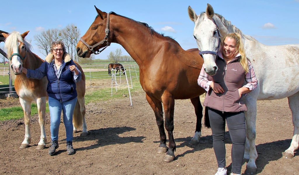 Alina Bogner (rechts) und ihre Mutter Andrea mit den Pferden "Catano", "First Empire", und "Andiamo". Der Schimmel, ein elfjähriger Hannoveraner Wallach gehört Alina. Mit ihm hat sie schon an vielen Turnieren teilgenommen.