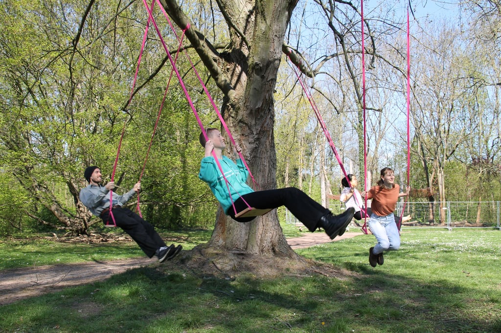 Insgesamt 50 Schaukeln wurden an Bäumen auf der Peißnitzinsel aufgehängt, auf denen der Slogan steht: Besetzt Schaukeln, nicht Länder.
