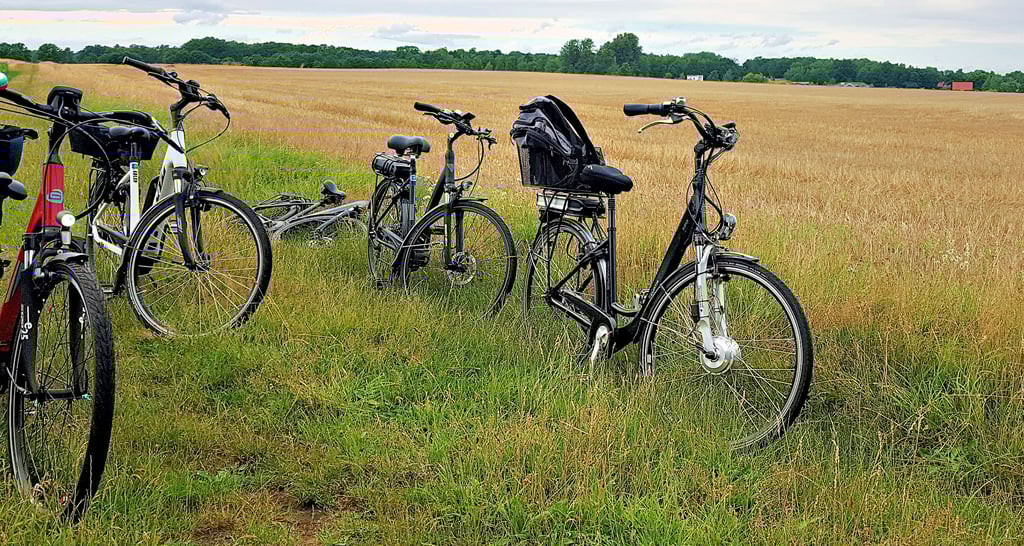 Radfahren wird immer beliebter. Vor allem E-Bikes stehen hoch im Kurs. Auch lange Strecken sind damit kein Hindernis mehr.