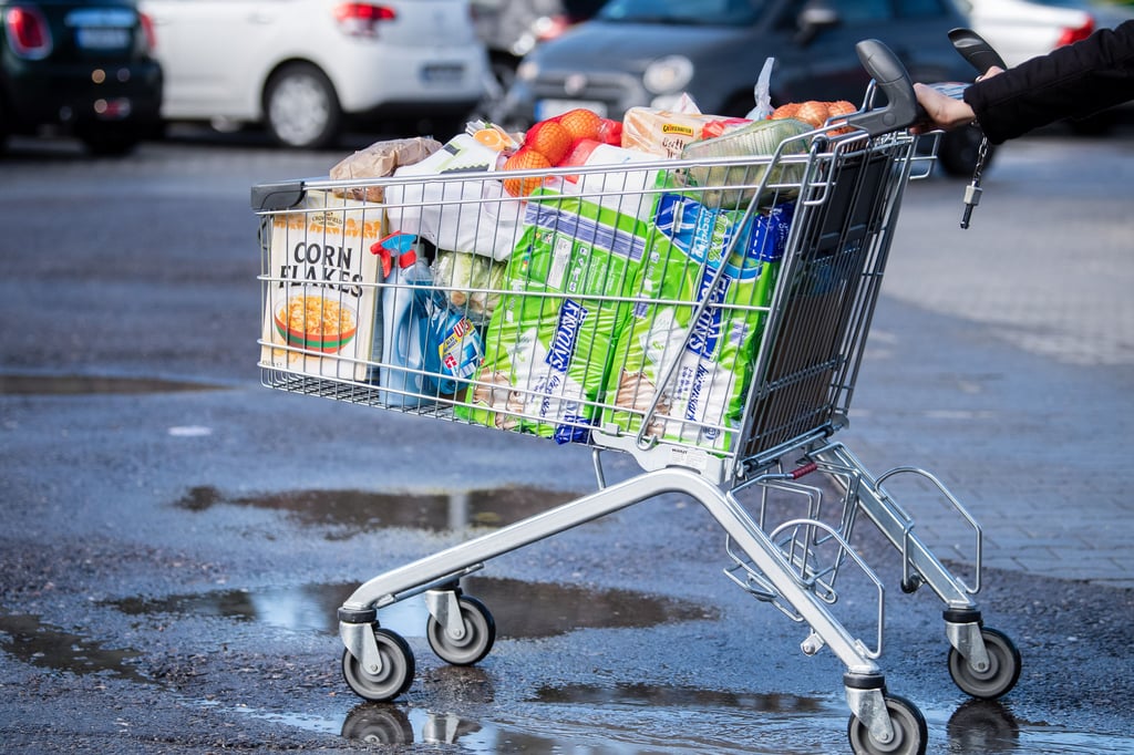 Die Polizei sucht nach dem oder den Unbekannten, die den Einkaufswagen auf die Gleise gelegt haben.