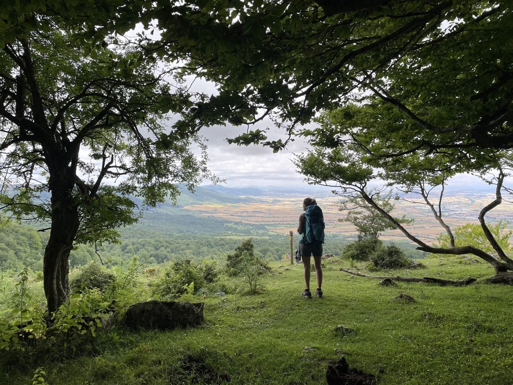 Die Bergwälder im Baskenland haben etwas Mystisches an sich.