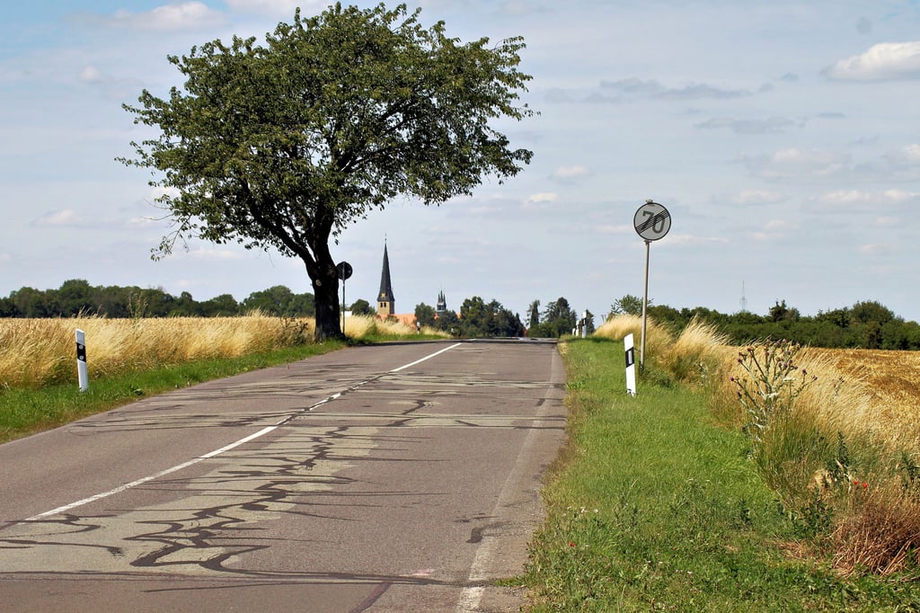 Von Dahlenwarsleben nach Groß Ammensleben soll ein Fahrradweg gebaut werden. Mitglieder des Bauausschusses der Niederen Börde wollen eine entsprechende Beschlussvorlage vorbereiten.