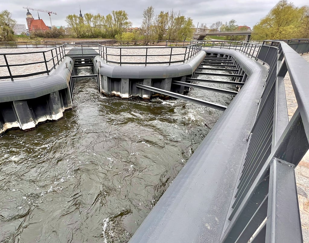 Ist die Fischaufstiegsanlage am Muldewehr Dessau zu schwer bewältigen für bestimmte Fischarten?