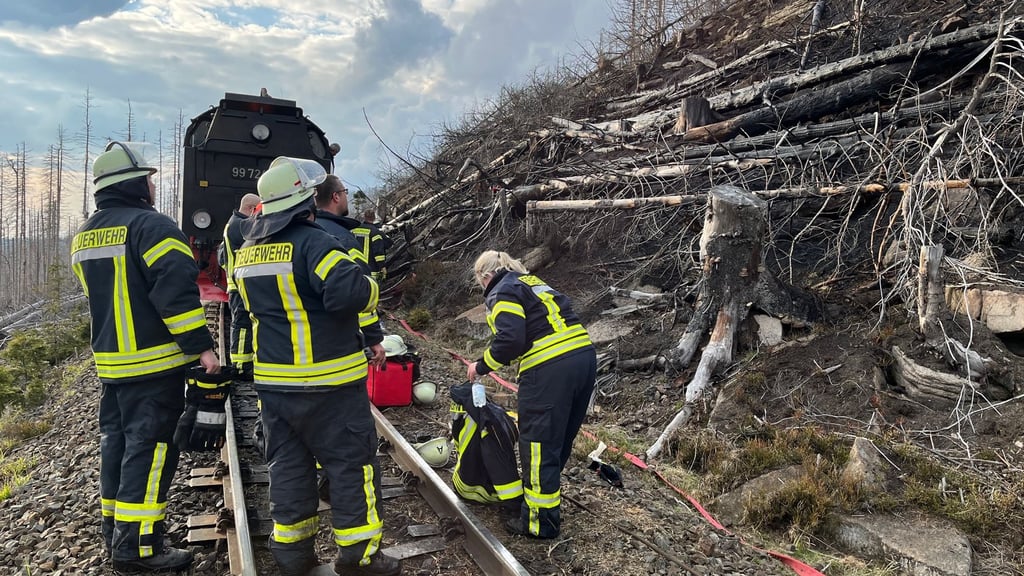 Den Brandort am Brocken erreichen die Feuerwehrleute nur zu Fuß oder per Zug der Harzer Schmalspurbahnen.