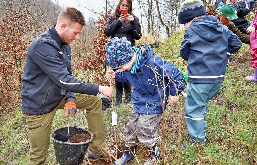 Knirpse aus dem Stolberger Kindergarten „Harzzwerge“ helfen beim Pflanzen