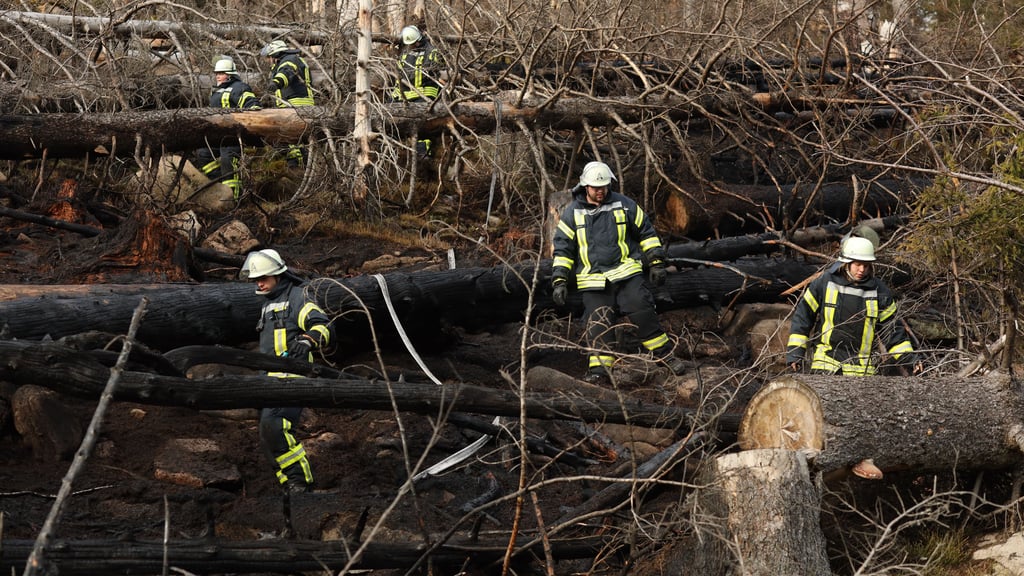 Einsatzkräfte der Feuerwehr kontrollieren eine abgebrannte Fläche am Brocken. Auf der Ostseite des Harzes war ein Großfeuer ausgebrochen.Foto: Matthias Bein/