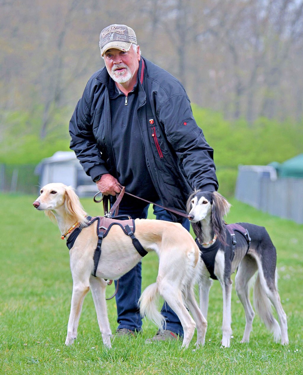 Bernd-Michael Rahms mit zwei Schützlingen eines niederländischen Halters auf der Roitzscher Windhunde-Rennbahn. Seit über 50 Jahren begeistern ihn die Tiere.
