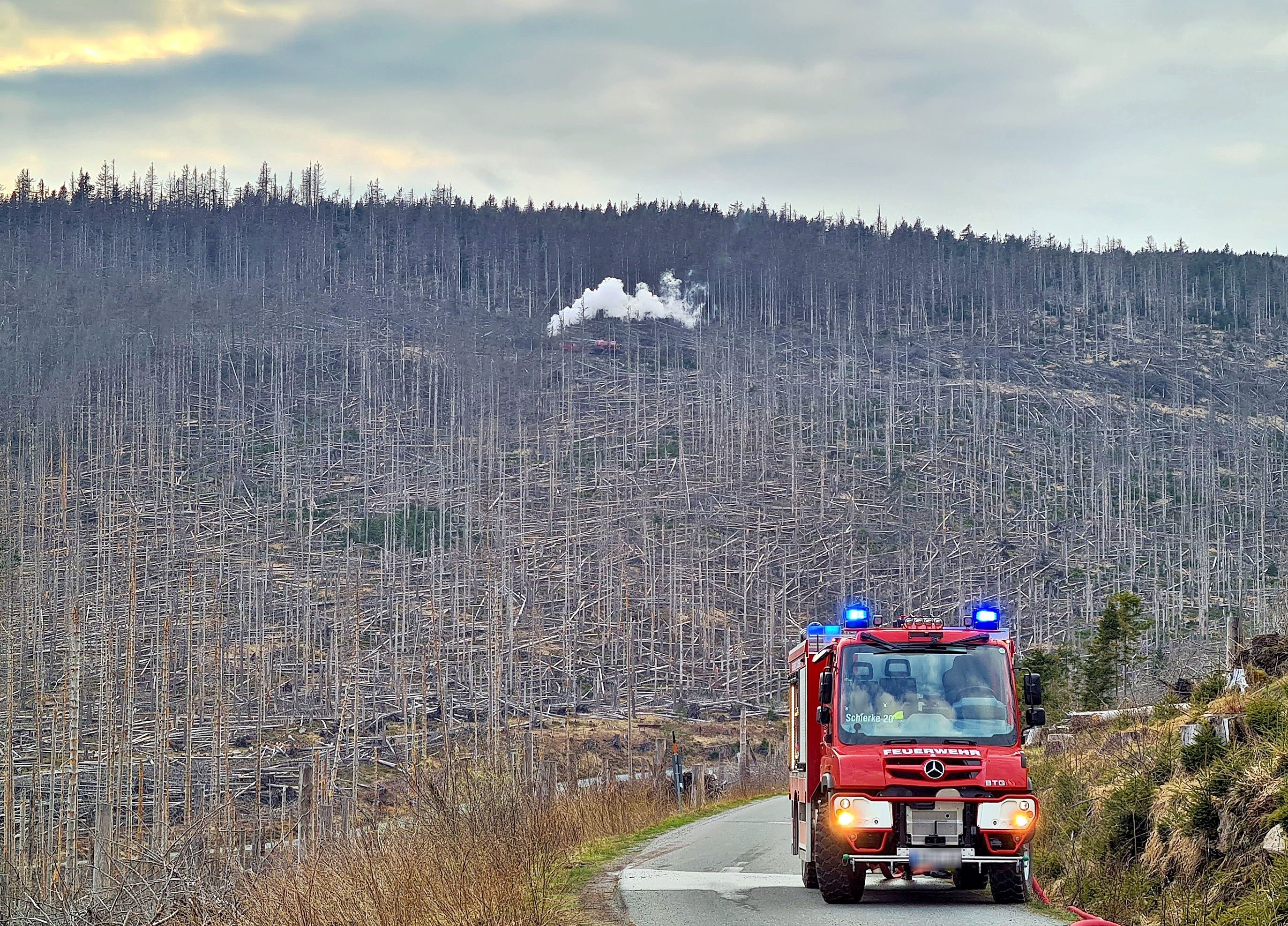 Ursachenforschung Zu Waldbrand Am Brocken Beginnt