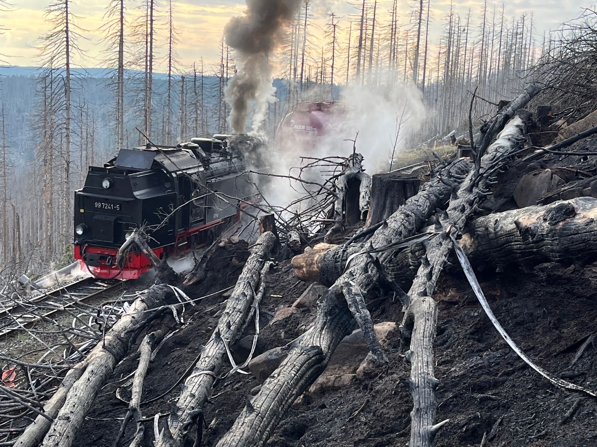 Feuer Im Harz Gelöscht: Einsatz Auf Brocken Beendet - Menschen Sind In ...