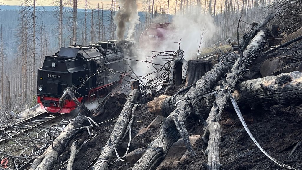 Auf der Ostseite des Harzes war ein Großfeuer ausgebrochen. Foto: Matthias Bein/