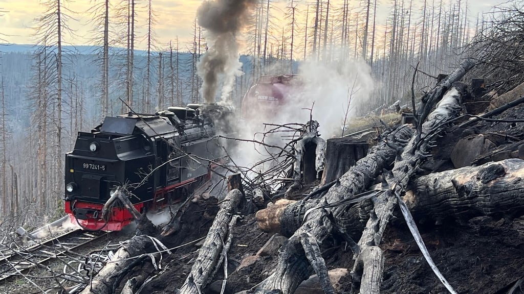 Auf der Ostseite des Harzes war ein Großfeuer ausgebrochen. Foto: Matthias Bein/