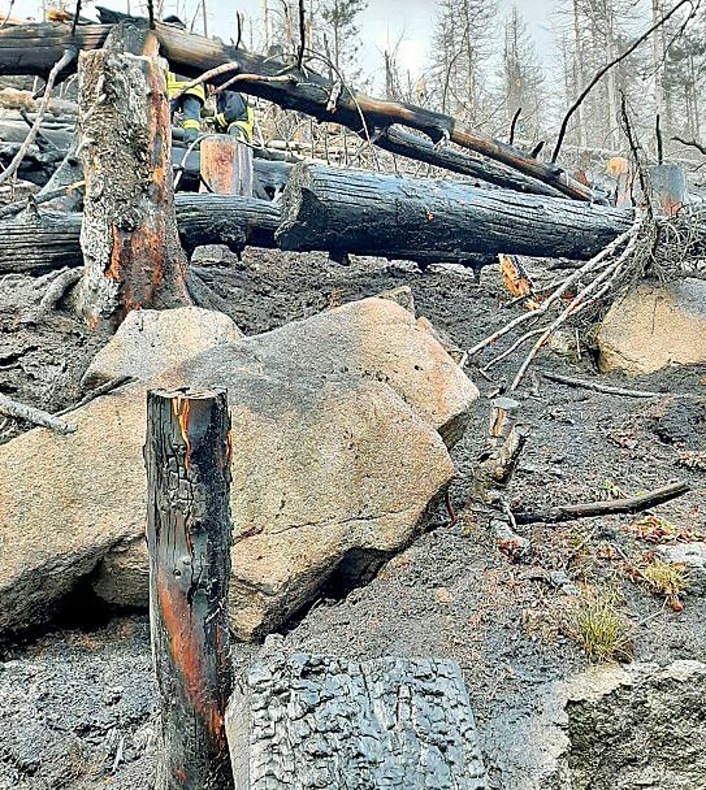 Das Feuer fraß sich schnell durch eine Reitgrasfläche mit Totholz nahe der Brockenbahn.