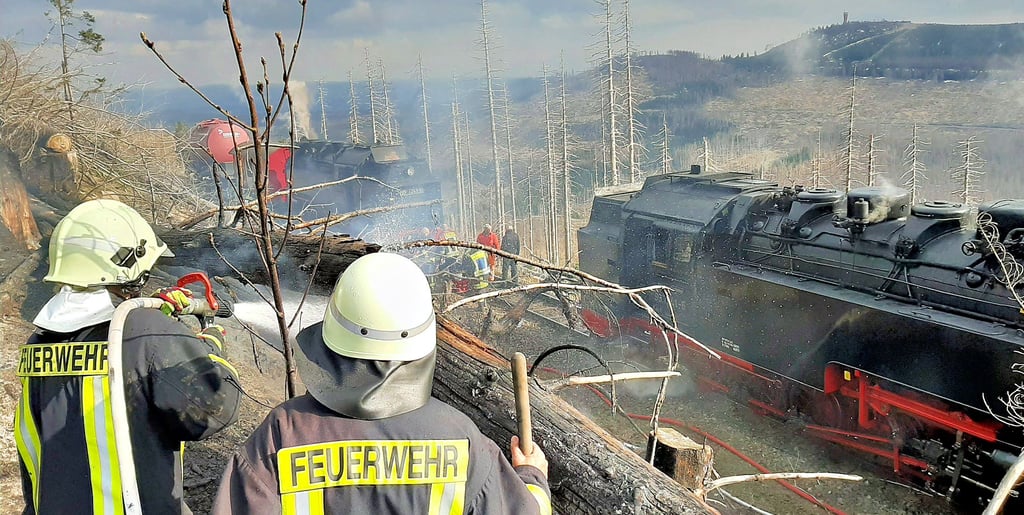 Feuerwehrleute kämpfen gegen einen Waldbrand in unzugänglichem Gelände am Brocken. Das Löschwasser musste mit der Brockenbahn herangeschafft werden.