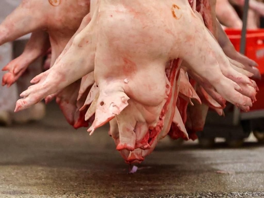 In der Nähe von Osterfeld will Kaufland die Zerlegung schließen.