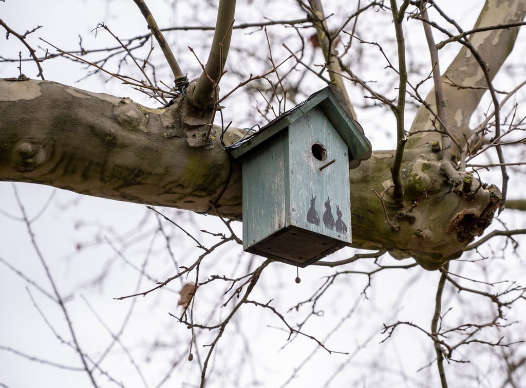 Naturschützer rufen dazu auf, im zeitigen Frühjahr für Nisthilfen zu sorgen.