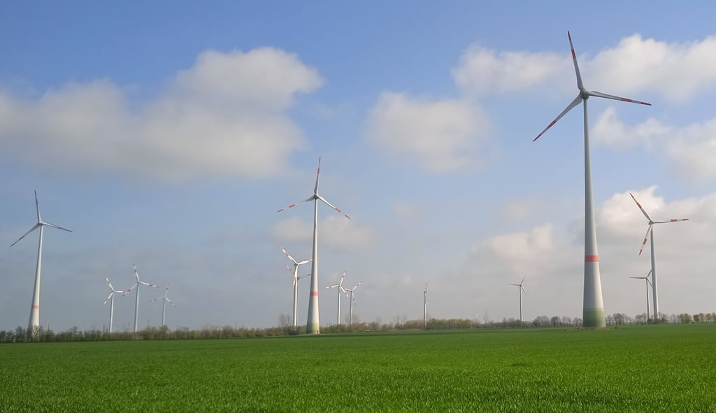Der Ortschaftsrat Reinstedt hat der Erneuerung von Windkraftanlagen zugestimmt.