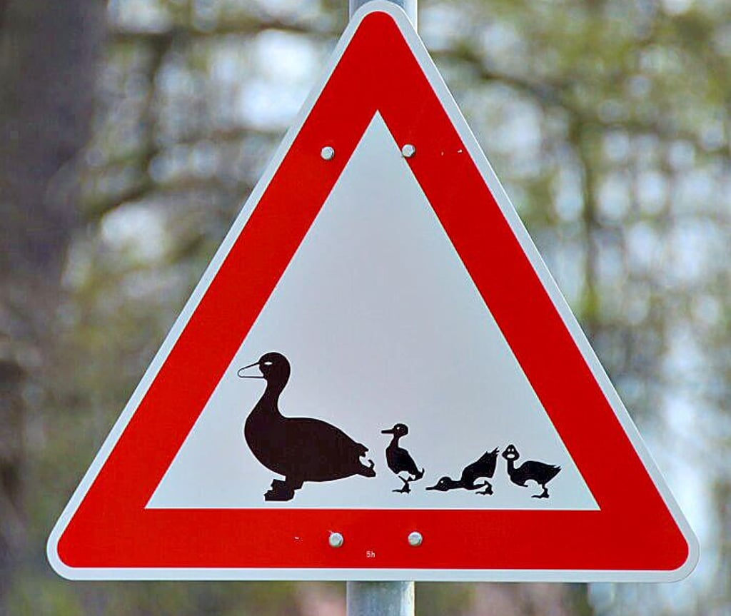 An der Stendaler Straße in Kalbe warnen zwei neue Schilder vor tierischen Passanten, die die Straße überqueren.