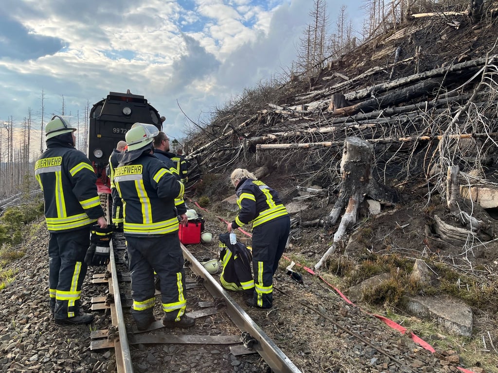 Feuerwehrleute stehen vor einem abgebrannten Waldstück am Brocken auf den Gleisen.