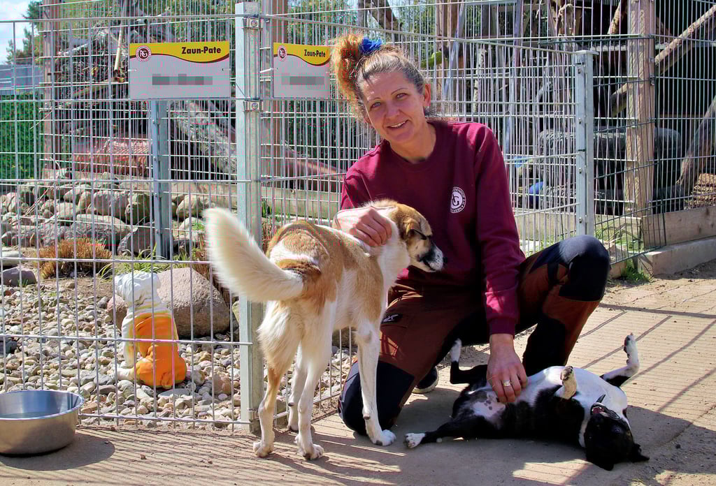 Anka Purwin mit zwei Hunden auf dem Gnadenhof Lüttgenziatz. „Perle“ und „Pingpong“ gehören zu den Tieren , die nicht mehr weitervermittelt werden können.