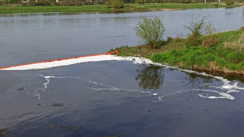 Was schwimmt da auf der Elbe bei Schönebeck? Die Feuerwehr musste Freitagnachmittag ausrücken.