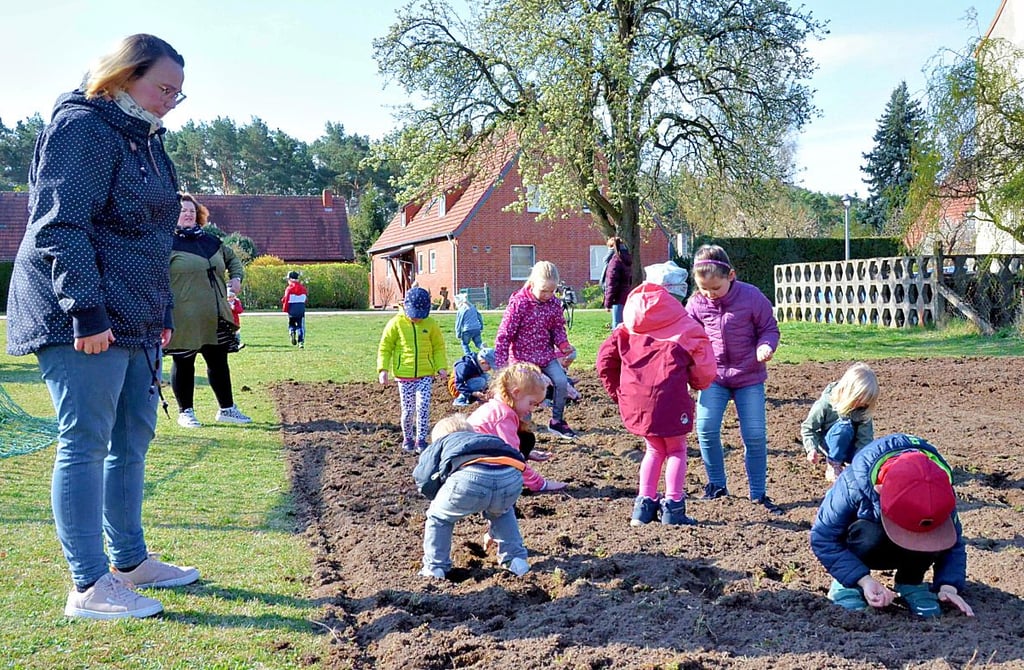 Eifrig machen sich die Kinder aus der Libellengruppe der Klietzer Kita an die Aussaat der Wildblumensamen.