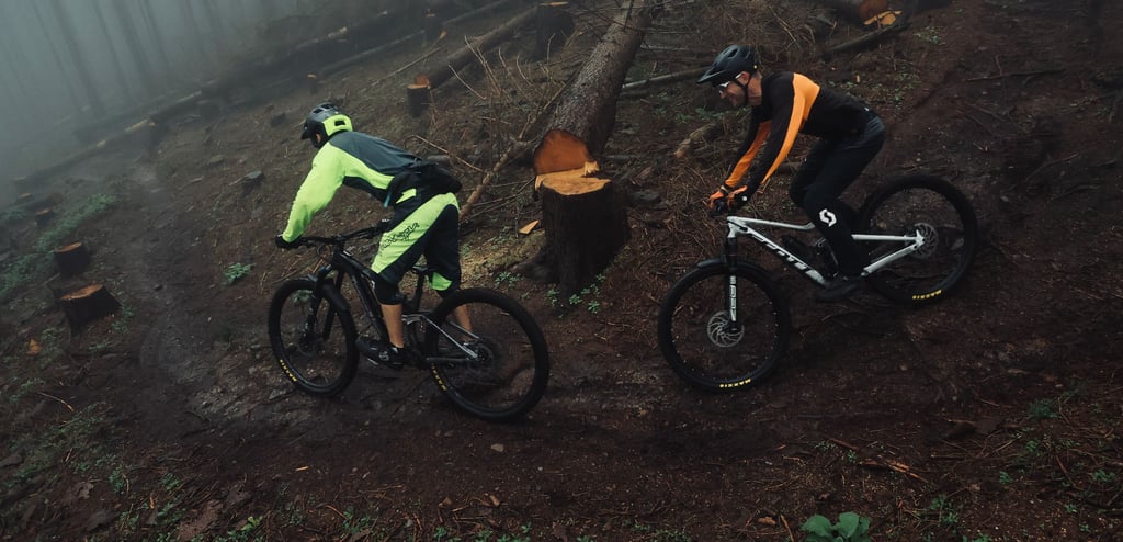Auf dem Trail im Wassertal bei Ilsenburg finden fortgeschrittene Mountainbiker naturbelassene, wurzelige aber auch sehr flüssig gebaute Abschnitte.
