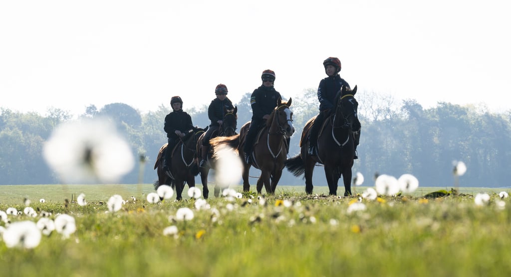 Urlaub mit Pferd soll bald in Blankenburg möglich sein.