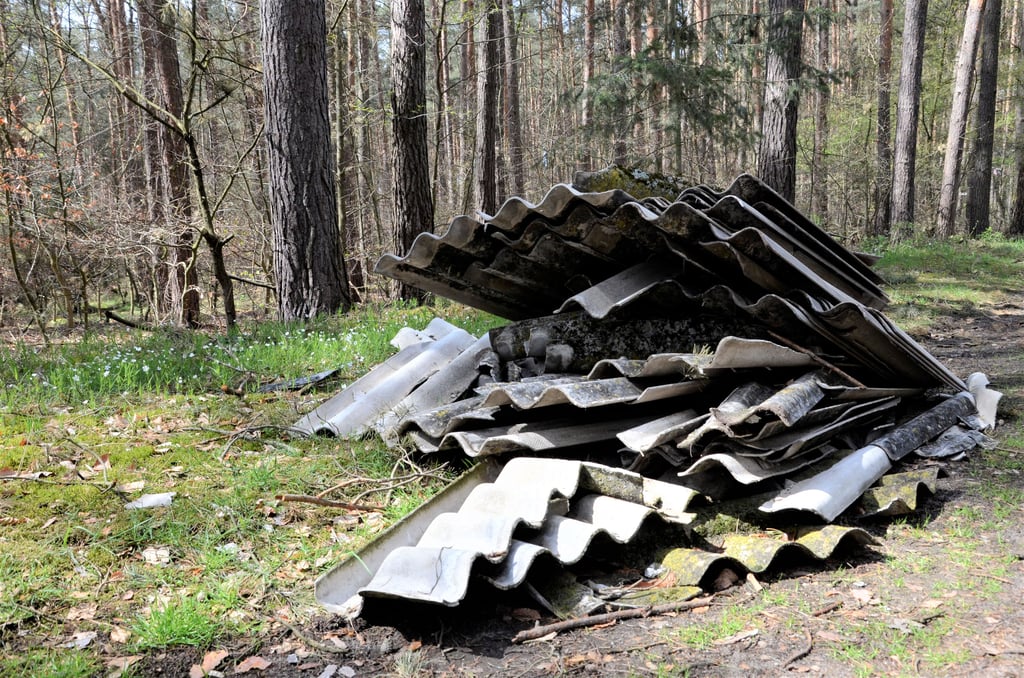 Gut zwei Monate lang lag dieser Stapel Asbestplatten im Wald bei Satuelle, bevor er vergangene Woche vom Kommunalservice Landkreis Börde entsorgt wurde.