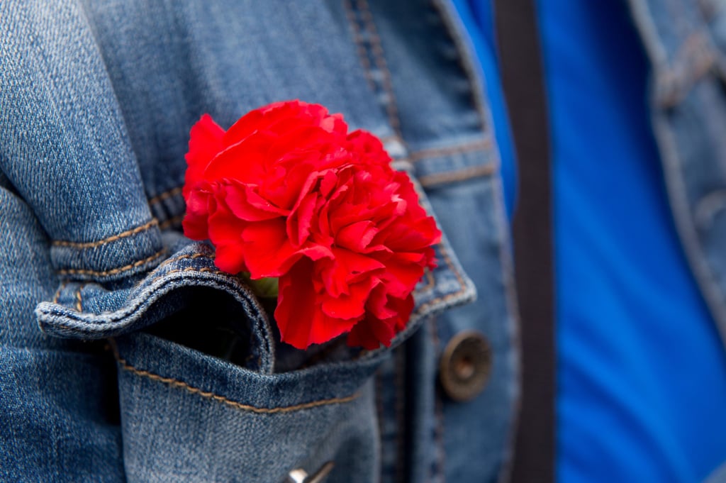 Rote Nelke zum 1. Mai