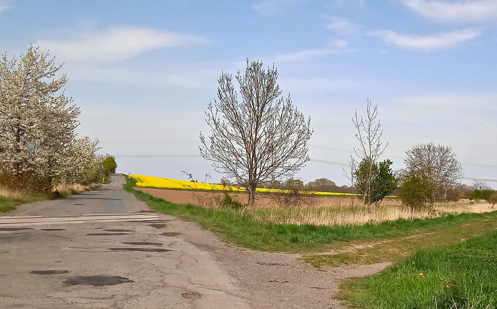 Der Bau des Radweges von Ermsleben nach Reinstedt verteuert sich um 20 Prozent.