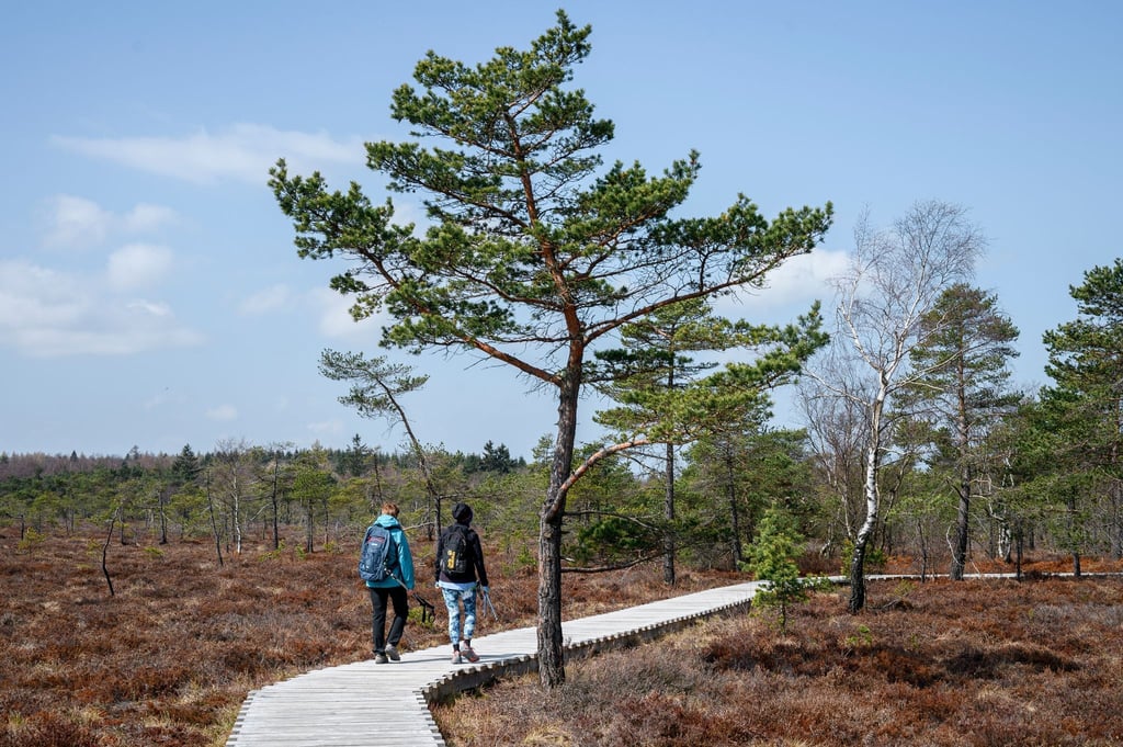 Zwei Frauen gehen auf dem Naturlehrpfad durchs Schwarze Moor in der Rhön. Nach zwei Corona-Jahren erwartet die Deutsche Zentrale für Tourismus wieder deutlich mehr Gäste.