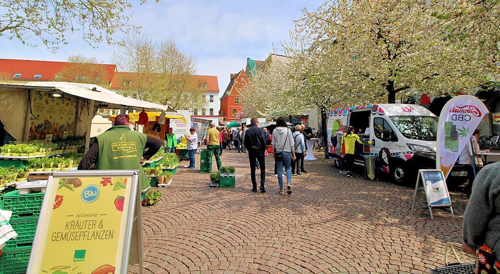 Bei „Marktplatz on Tour“ gab es viel zu entdecken.