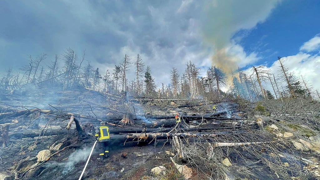 Mehr als 100 Feuerwehrleute kämpften am Dienstag (26. April) gegen einen Brand am Brocken: Das Feuer war an einem Hang nahe der Gleise der Harzer Schmalspurbahnen ausgebrochen.