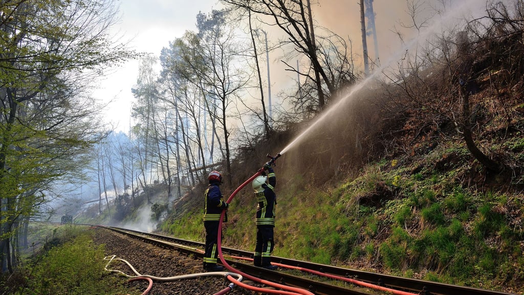 Mehr als 130 Feuerwehrleute waren am Samstag bei einem Waldbrand nahe Gernrode im Einsatz. 