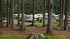 Die Harzer Campingplätze sind bei den Touristen sehr beliebt. Meist liegen sie idyllisch am Wald oder an einem See. Doch was schätzen die Besucher an den einzelnen Campingplätzen und wo finden sie es am schönsten.