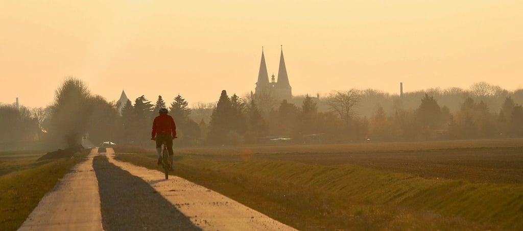 Ein Radfahrer auf dem Saaleradweg, wie er auf der Internetseite des Trägervereins dargestellt wird. Dabei verläuft die Strecke seit Jahren durch Calbe.
